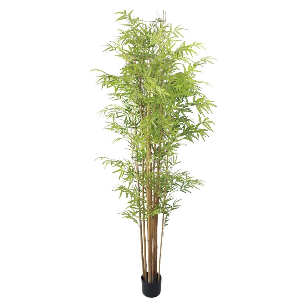 Planta Bambo 210cm