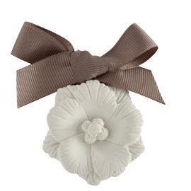 Coffret 5 Decorações Gesso Perfumado - Vanille Dorée