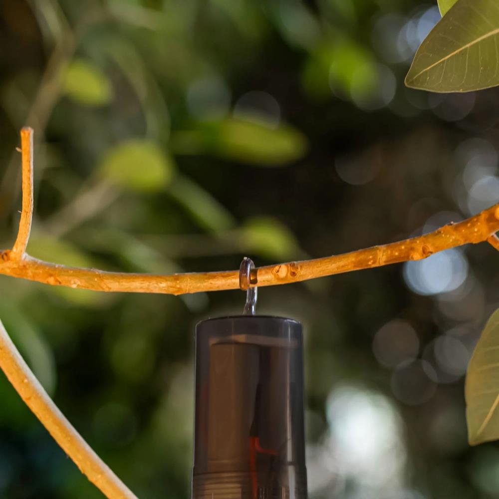 Lampada Solar Chiara