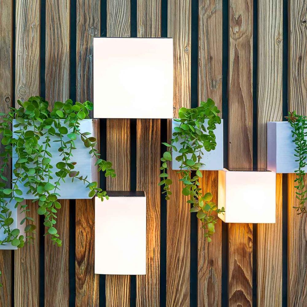 Cubo de Luz Solar Wally 12x18