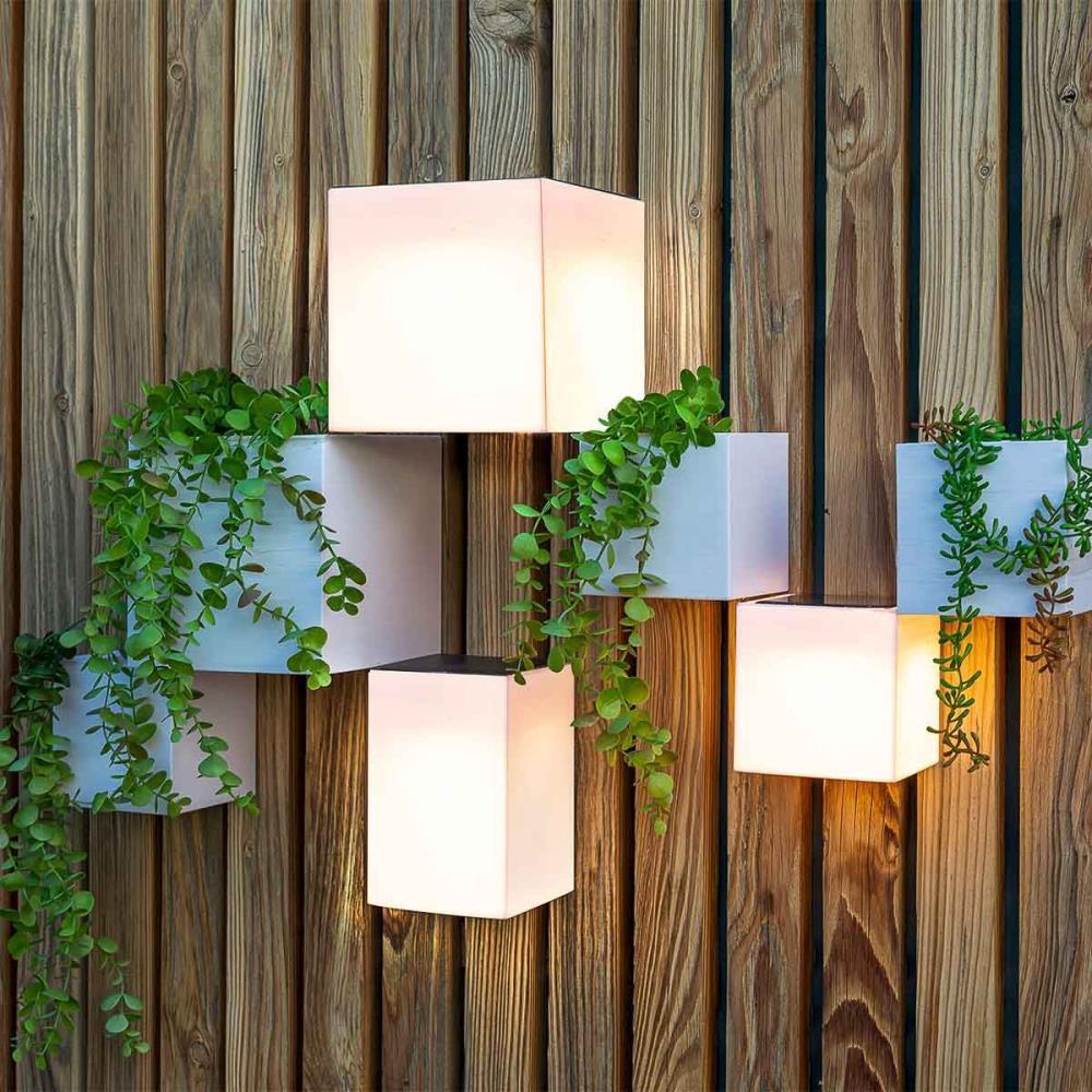 Cubo de Luz Solar Wally 18x18