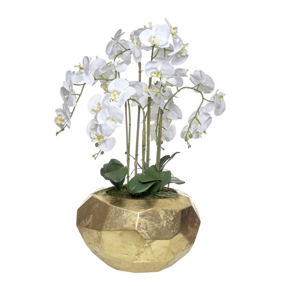 Orquidea 6 Caules Bola Diamante