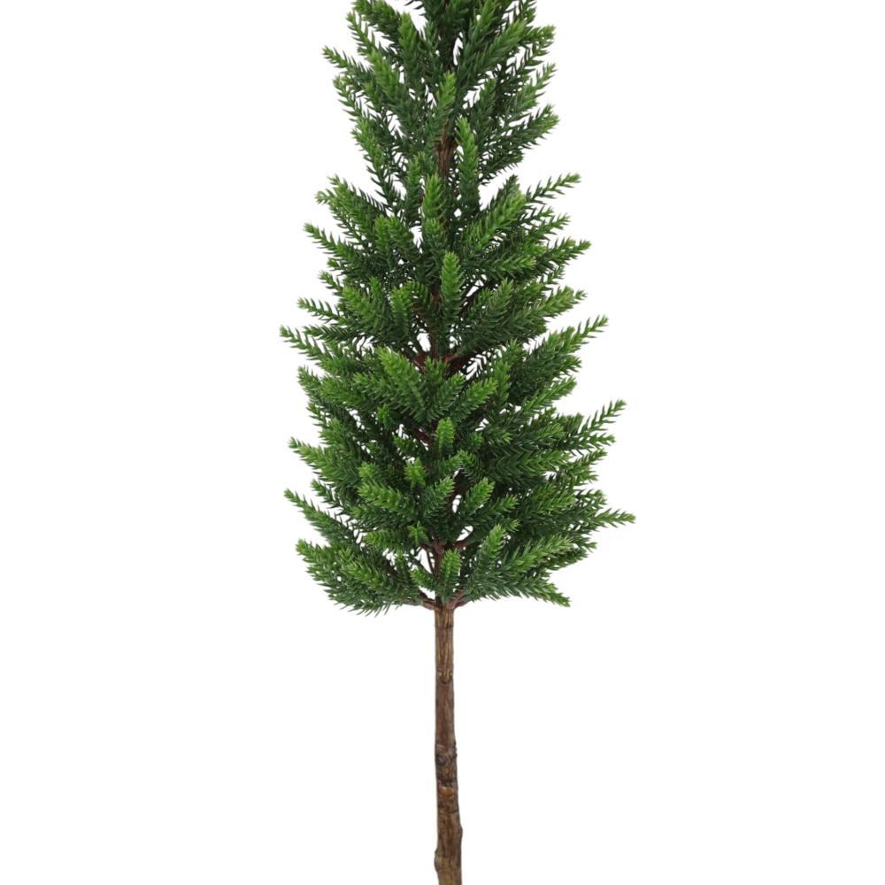 Pinheiro Verde