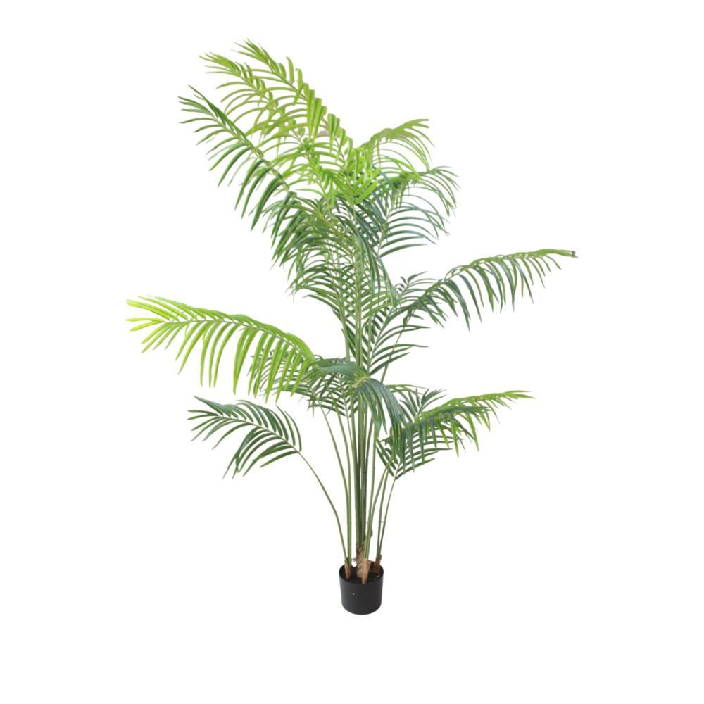 Planta Palmeira Areca 190cm