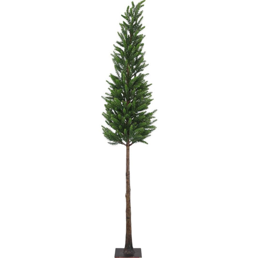 Pinheiro Verde