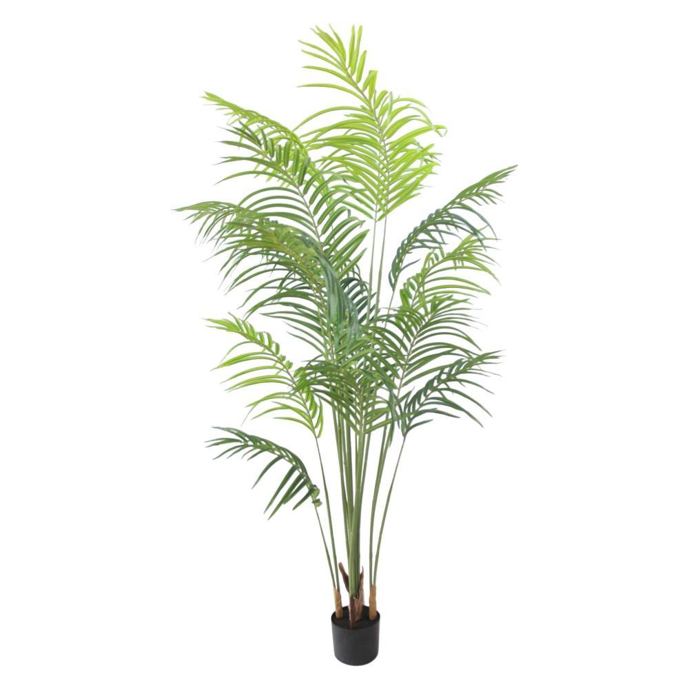 Planta Palmeira Areca 170cm