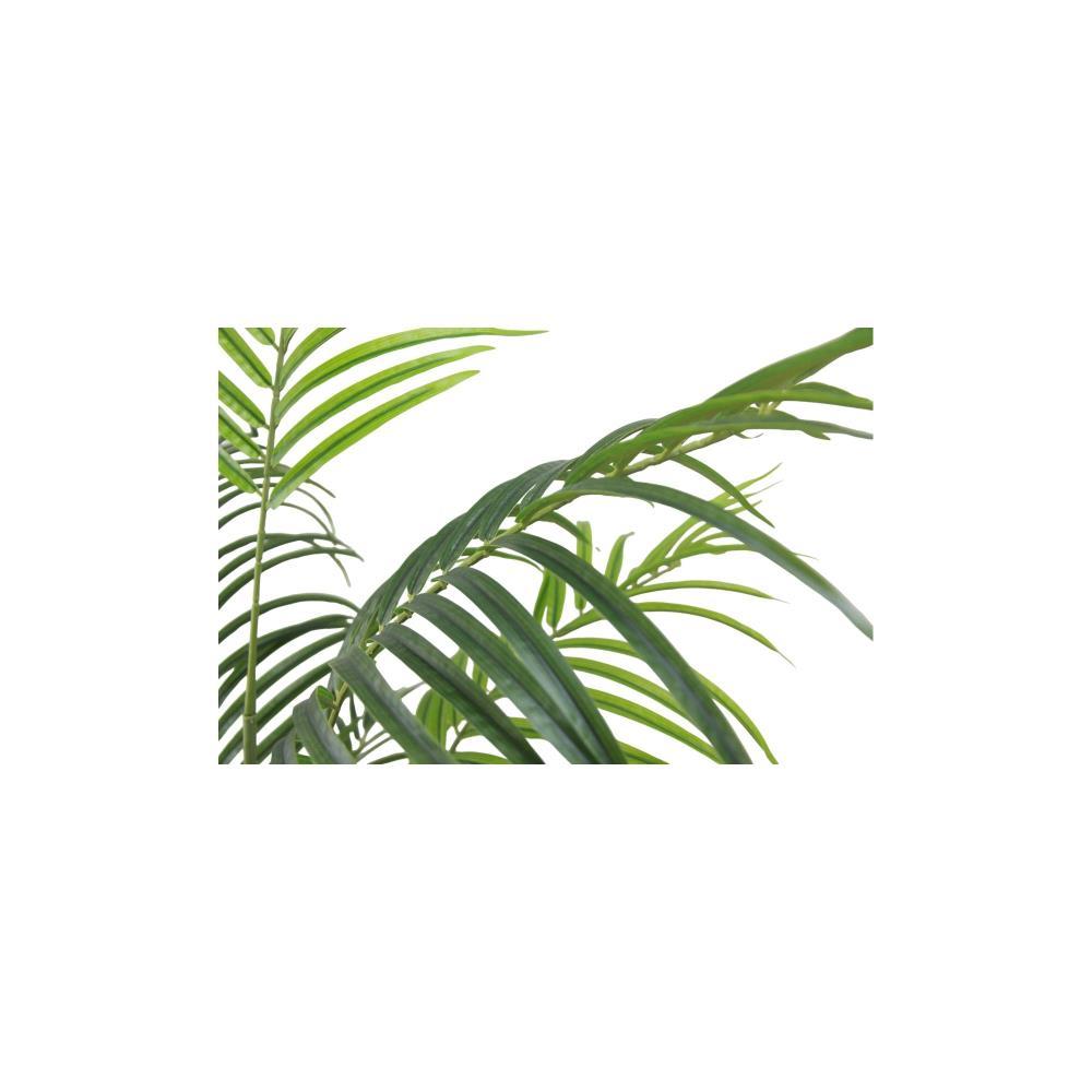 Planta Palmeira Areca 170cm
